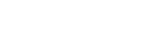 Flint Systems
