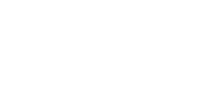 InHolland University